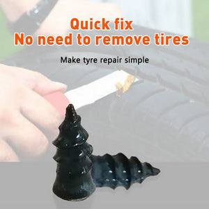 Auto Tire Repair Nail