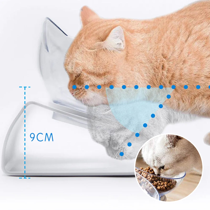 AntiVomit Cat Bowl Peachloft