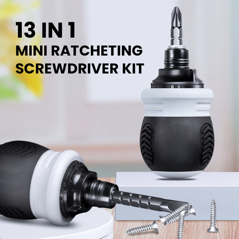 13 In 1 Mini Ratcheting Screwdriver Kit – Peachloft