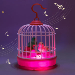 Electric Bird Cage Toy
