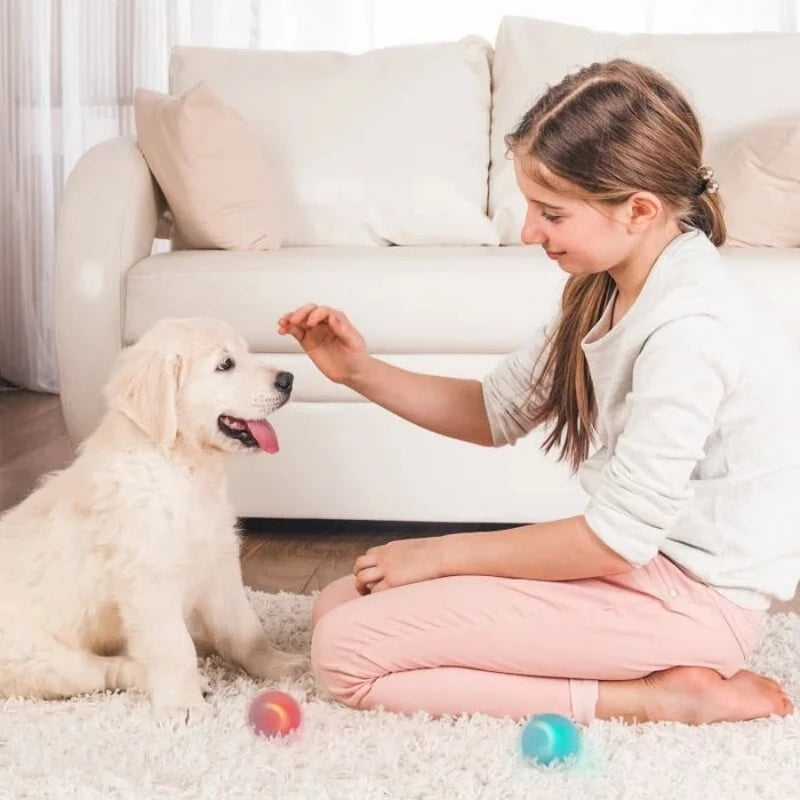 Interactive Ball Toys