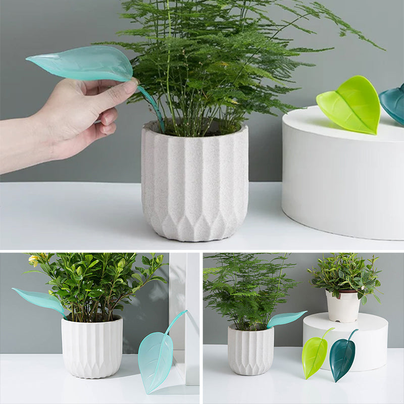 🌸🥬Funny Watering Leaves (6pcs)🥬🌸