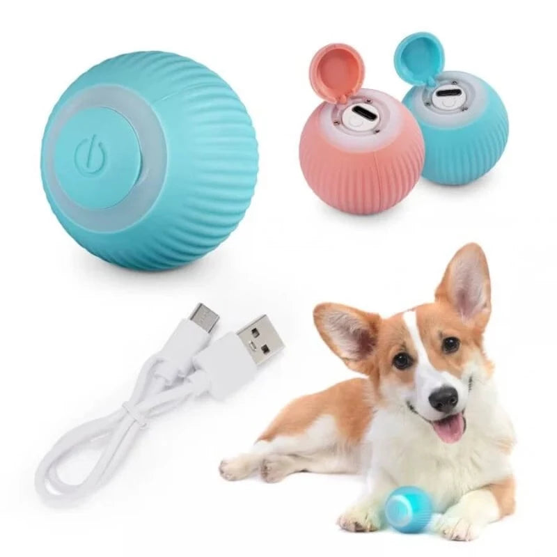 Interactive Ball Toys