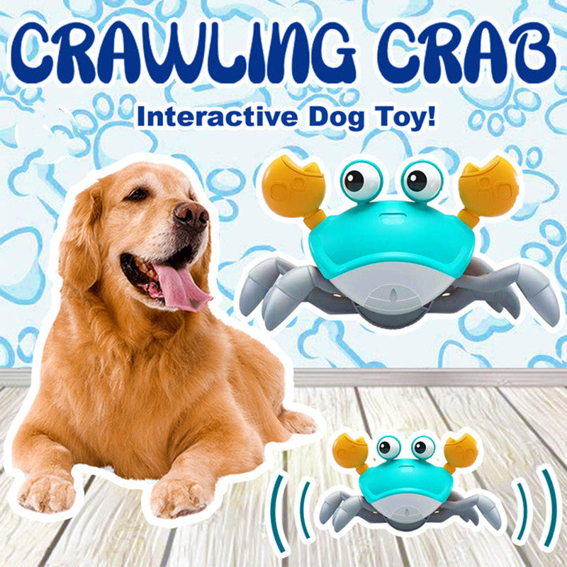 Crawling Crab Toy 🦀