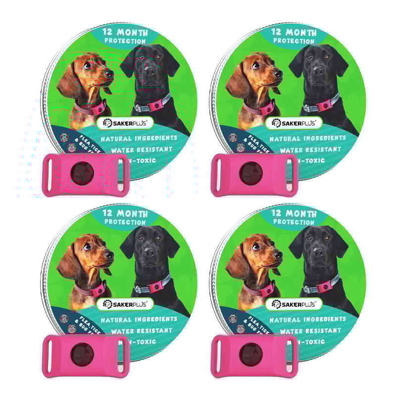 12 Months Flea and Tick Free