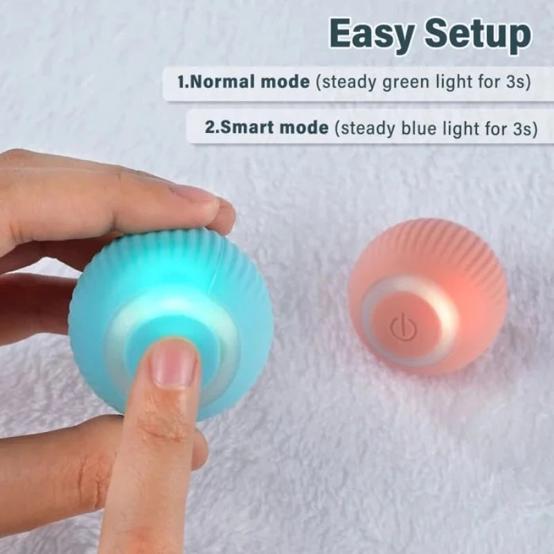 Interactive Ball Toys