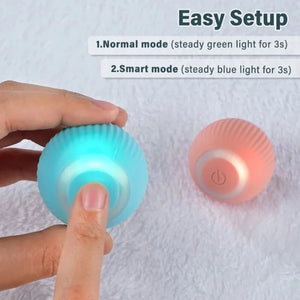 Interactive Ball Toys