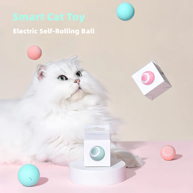 Interactive Ball Toys