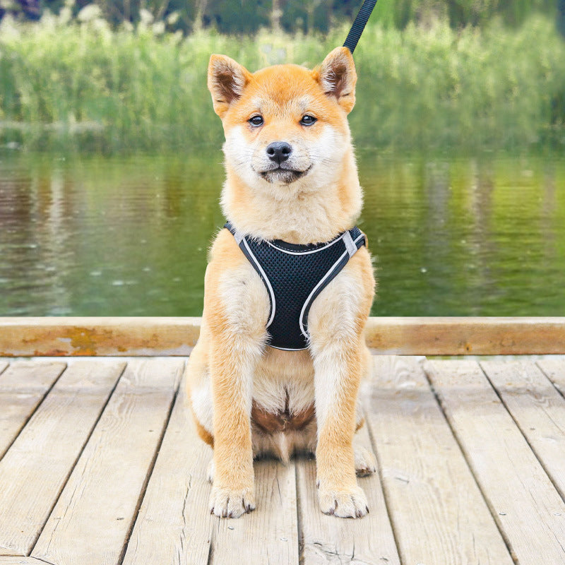 Pet Chest Harness