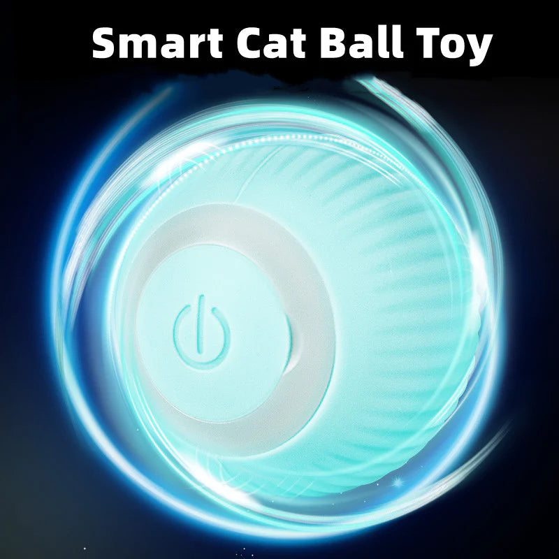 Interactive Ball Toys