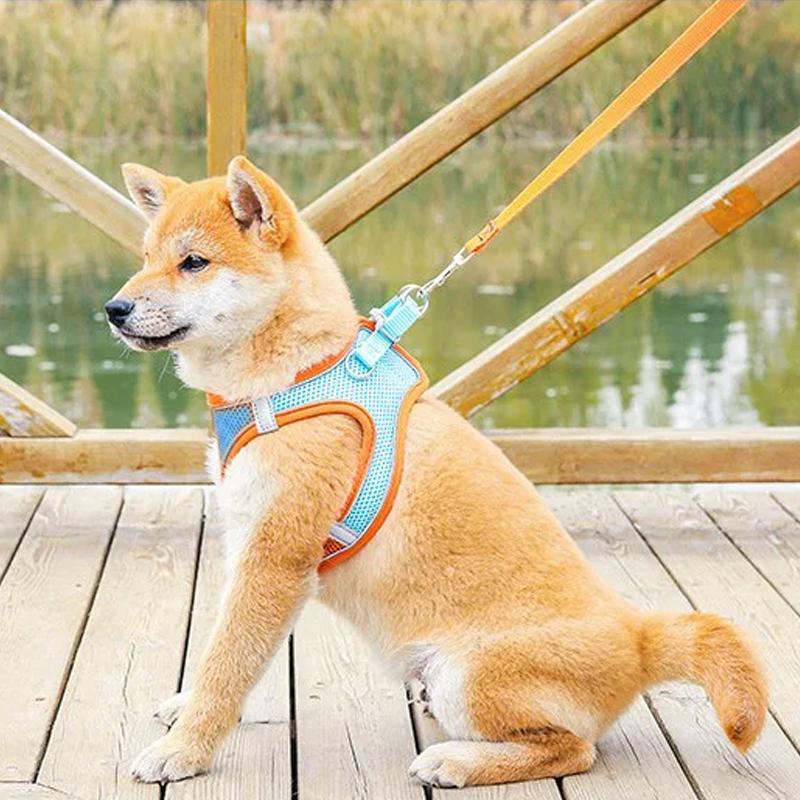 Pet Chest Harness