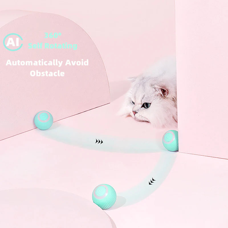 Interactive Ball Toys