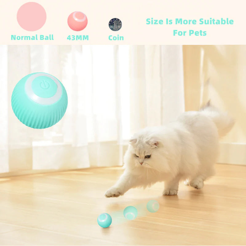 Interactive Ball Toys