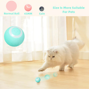 Interactive Ball Toys