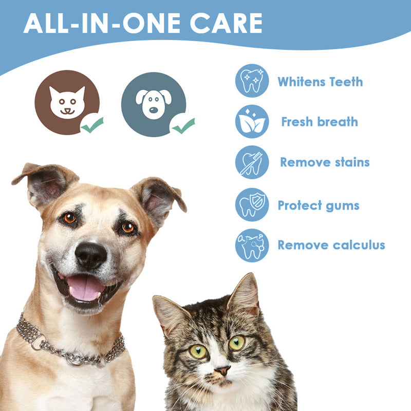 Cat & Dog Teeth Repairing Kit