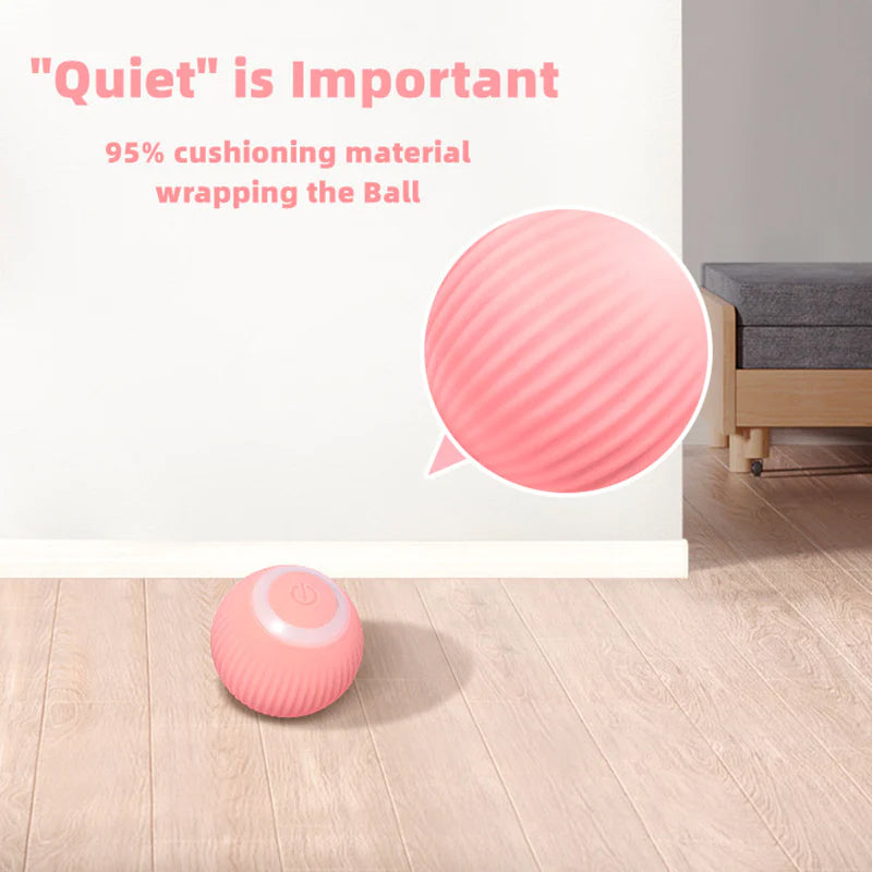 Interactive Ball Toys