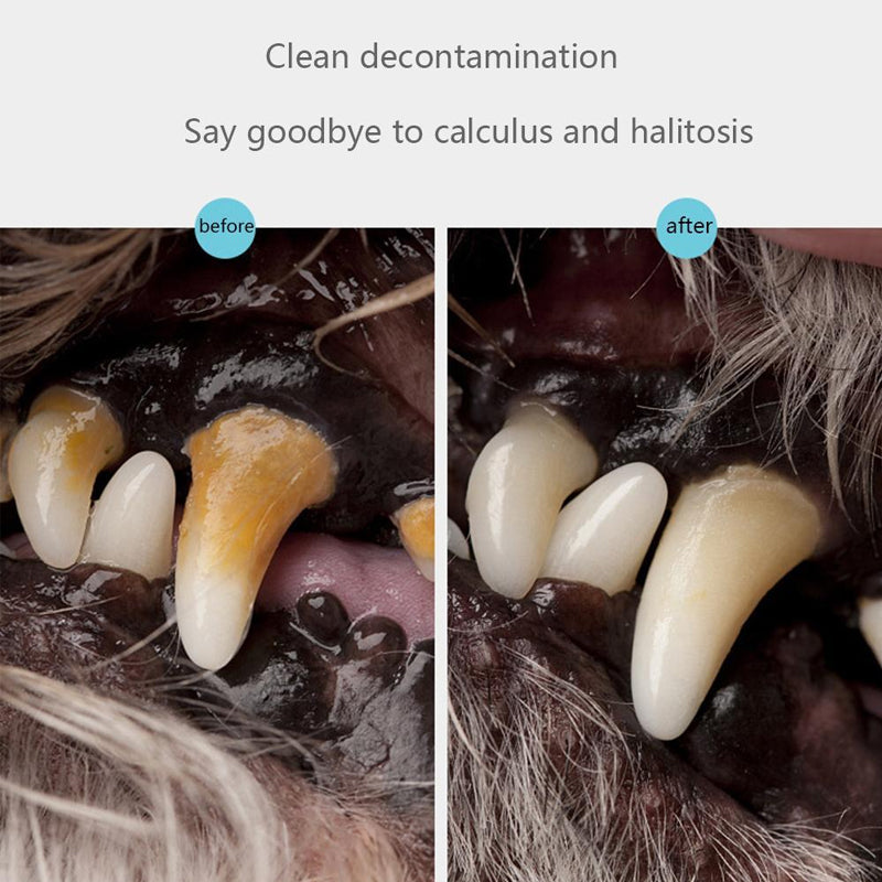 Cat & Dog Teeth Repairing Kit