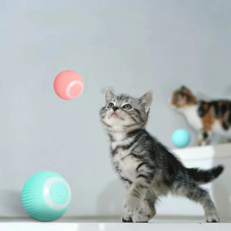 Interactive Ball Toys