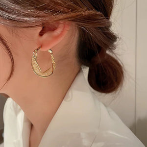 Fashion Twist Earrings