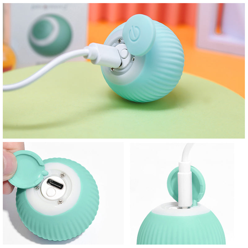 Interactive Ball Toys