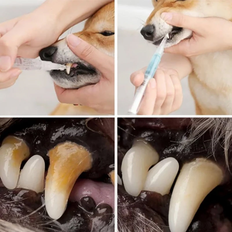 Cat & Dog Teeth Repairing Kit
