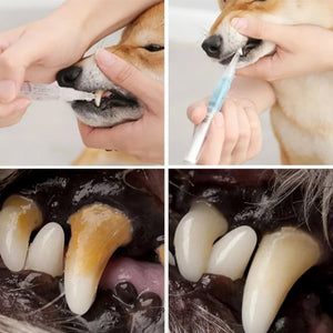 Cat & Dog Teeth Repairing Kit