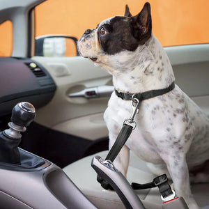 Adjustable Elastic Dog Seat Belt