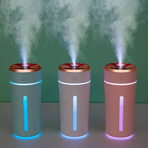 Colorful Lighting Aromatherapy Air Humidifier