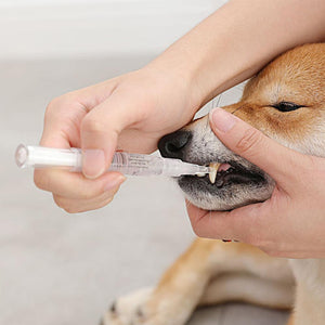 Cat & Dog Teeth Repairing Kit