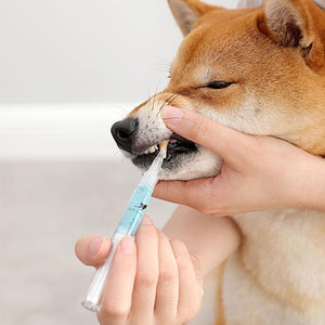 Cat & Dog Teeth Repairing Kit