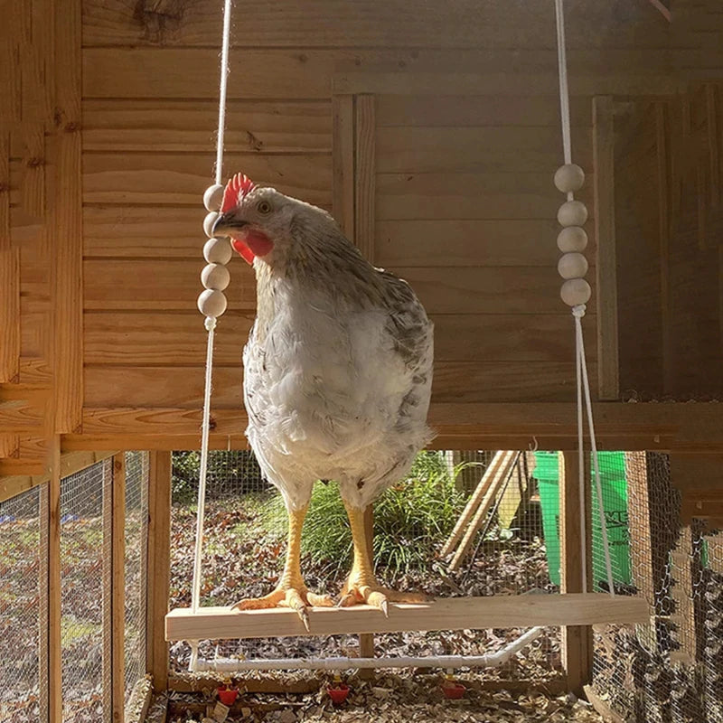 Chicken Swing Toy