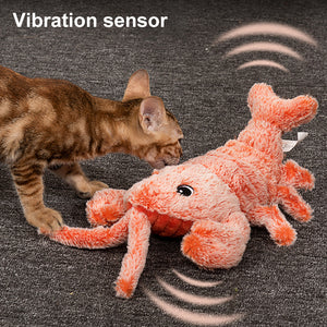 Interactive Cat And Dog Toy