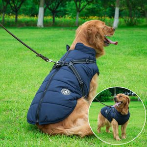 Waterproof Winter Jacket With Built-In Harness
