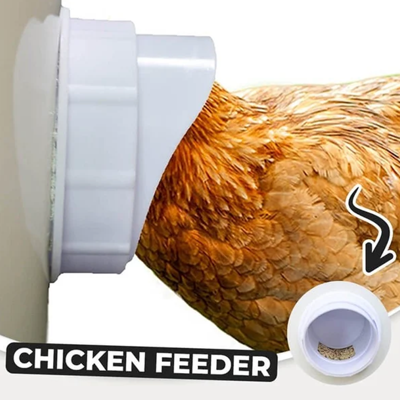 DIY Chicken Feeder