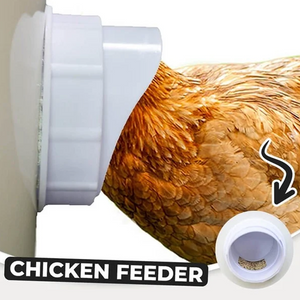DIY Chicken Feeder