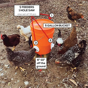 DIY Chicken Feeder