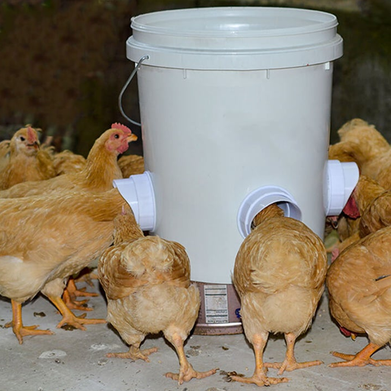 DIY Chicken Feeder