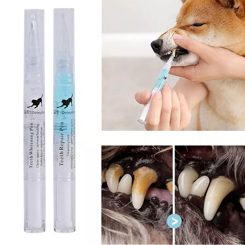 Cat & Dog Teeth Repairing Kit