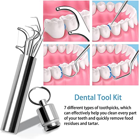 Stainless Steel Toothpick Set