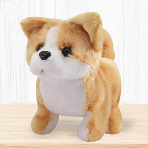 Interactive Simulation Toy