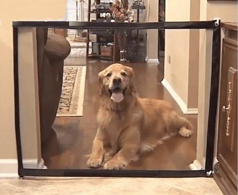 Portable Mesh Dog Gate For House