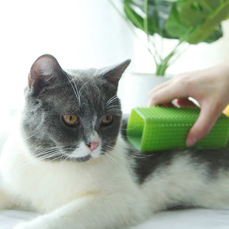 Pet Silicone Hair Remover