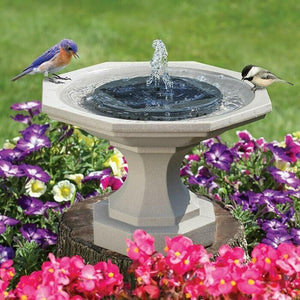 Solar Powered Bird Fountain With Lights