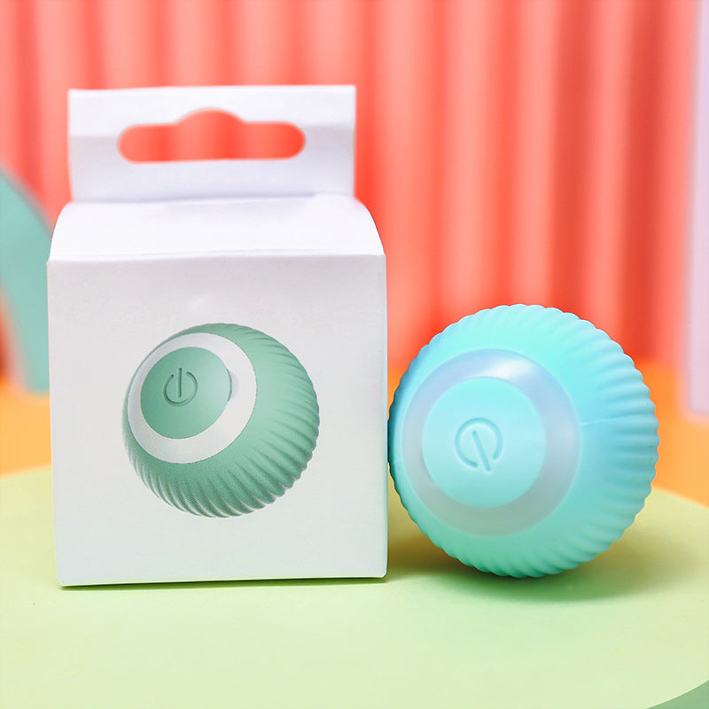 Interactive Ball Toys