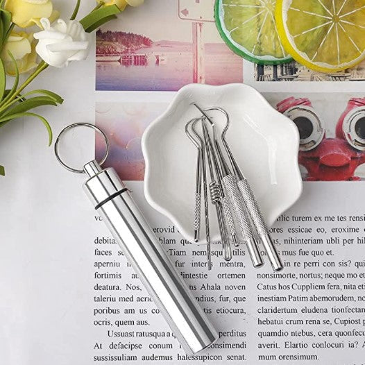 Stainless Steel Toothpick Set