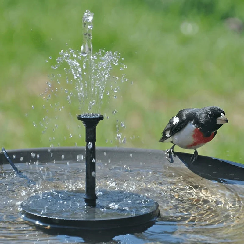 Solar Powered Bird Fountain With Lights