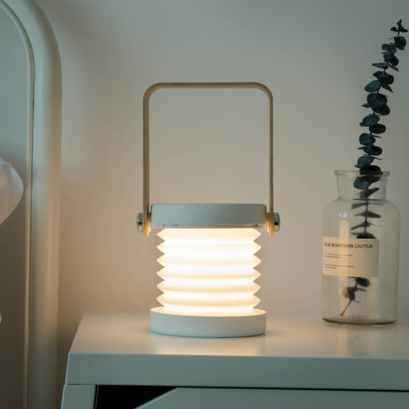Modern Multi-Purpose Lamp
