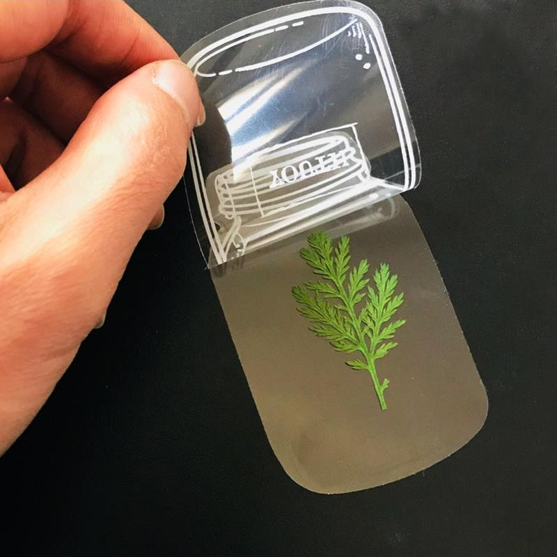 Beautiful Transparent Dried Flower Bookmarks