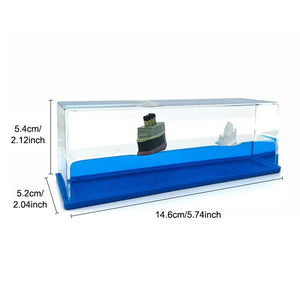 Cruise Ship Model Decoration