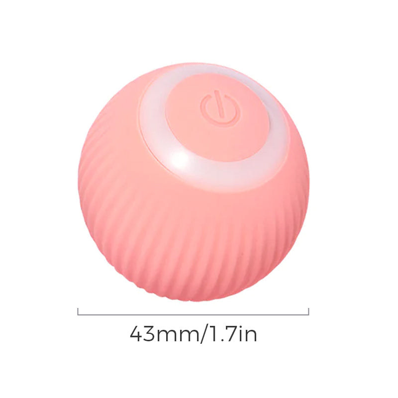 Interactive Ball Toys